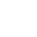 3ss icon