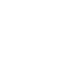3ss icon