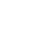 3ss icon