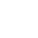 3ss icon