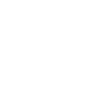 3ss icon