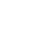 3ss icon
