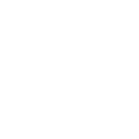 3ss icon