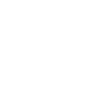 3ss icon