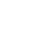 3ss icon
